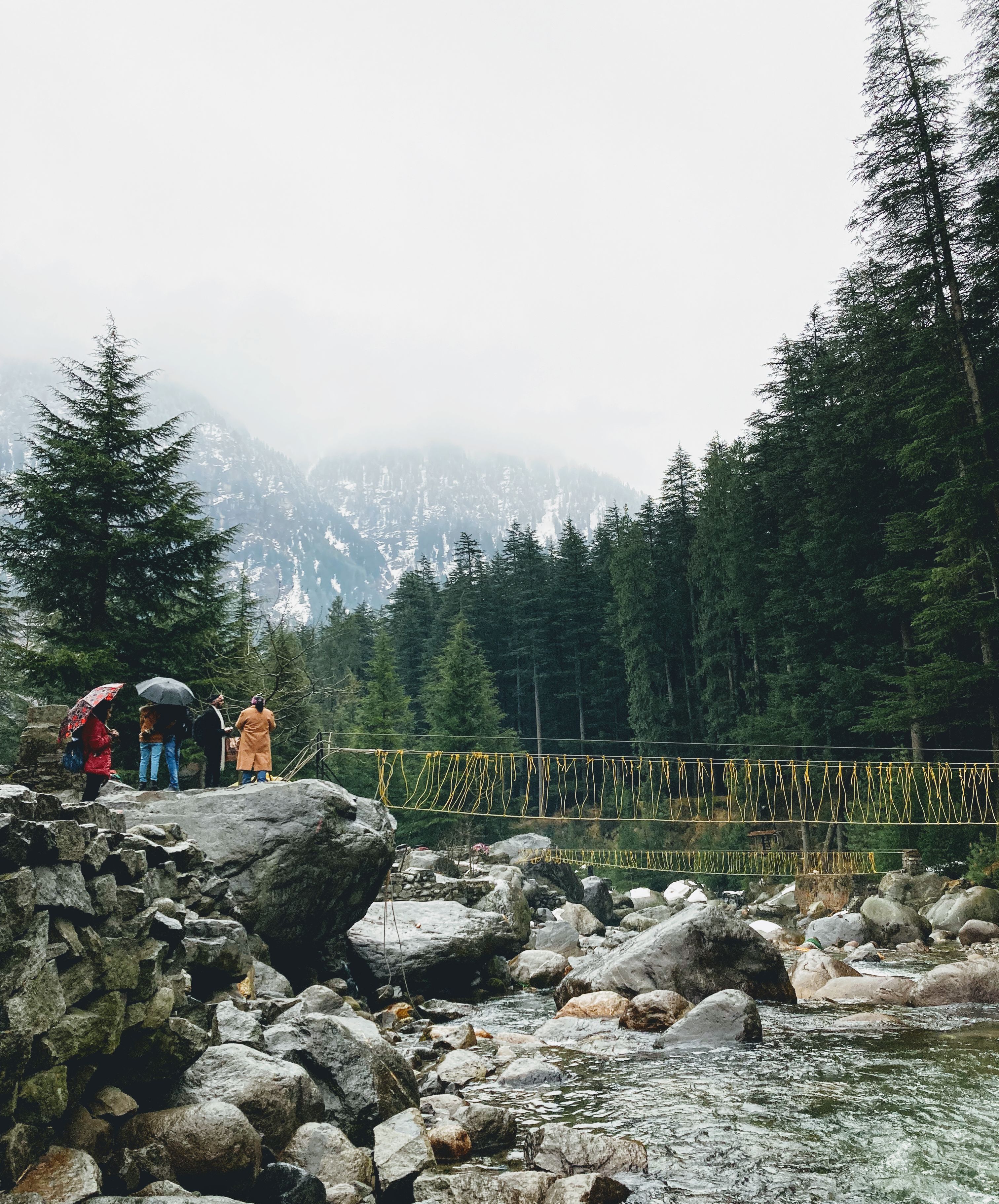 A forest footbridge in a mountain valley